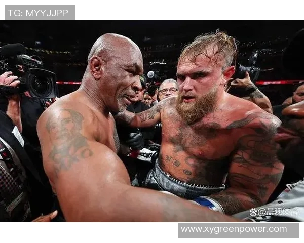 搏击传奇对决：鲍勃萨普与崔洪万的巅峰对抗之战